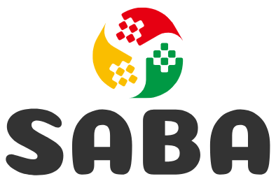 Birhanu Eniyew Resum